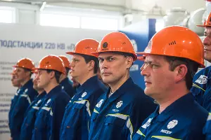 Запуск электроподстанции «Порт» в Тамани &copy;&nbsp;Фото Елены Синеок, Юга.ру