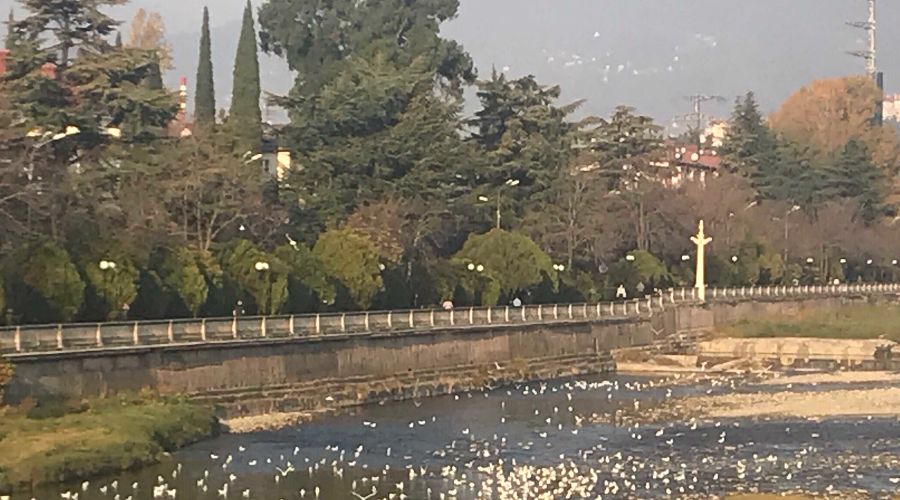  © Фото Юлии Барановой, Юга.ру