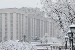  &copy;&nbsp;Скриншот с сайта Госдумы РФ duma.gov.ru