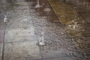  &copy;&nbsp;Фото Елены Синеок, Юга.ру