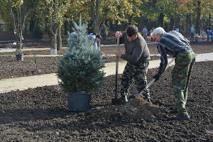 Ремонт парка и дома культуры Тбилисском районе &copy;&nbsp;Фото пресс-службы Тбилисского района