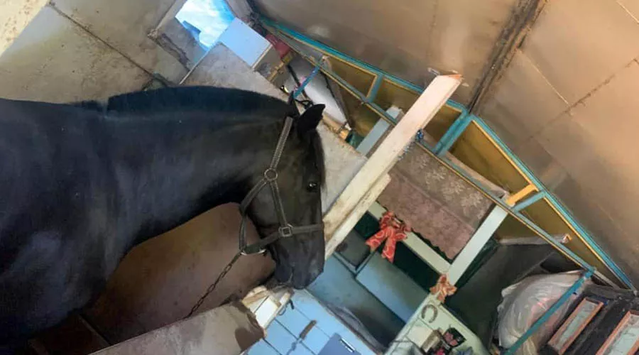  &copy;&nbsp;Фото со страницы facebook.com/vladimir.verbitskiy