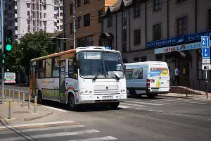  &copy;&nbsp;Фото Елены Синеок, Юга.ру