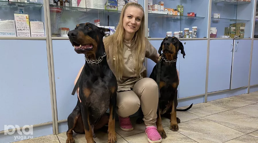 Ветеринар Софья Стрельникова и её доберманы — Оскар и Дрима &copy;&nbsp;Фото Влады Мандрыка, Юга.ру