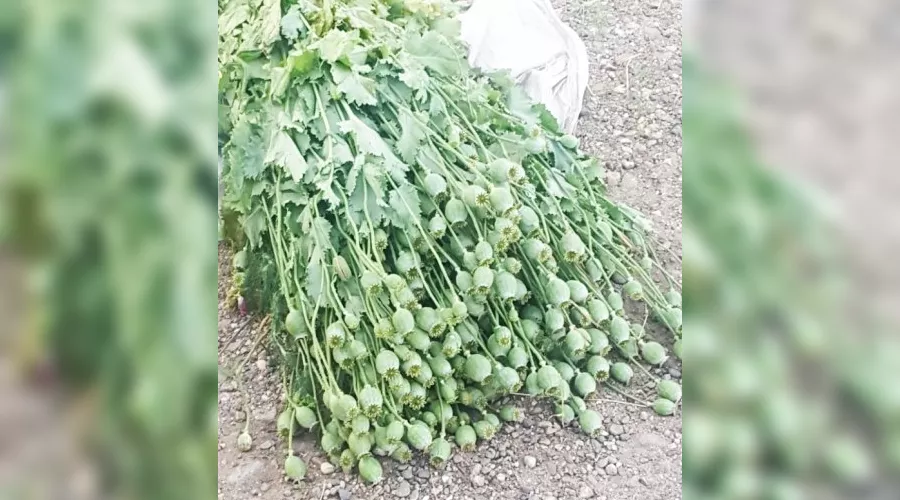  &copy;&nbsp;Фото пресс-службы ГУ МВД РФ по Ставропольскому краю