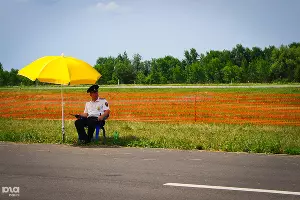  &copy;&nbsp;Фото Елены Синеок, Юга.ру