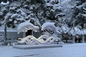  &copy;&nbsp;Фото Татьяны Дроздецкой, предоставлено Юга.ру