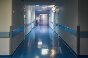  &copy;&nbsp;Фото Елены Синеок, Юга.ру