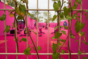 Спортивное пространство в парке «Краснодар»  © Фото Елены Синеок, Юга.ру