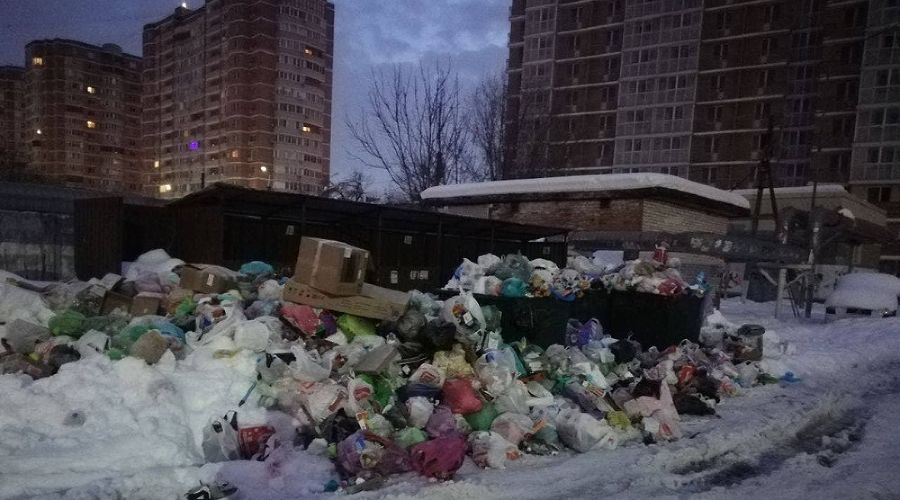  © Фото t.me/tipichkras