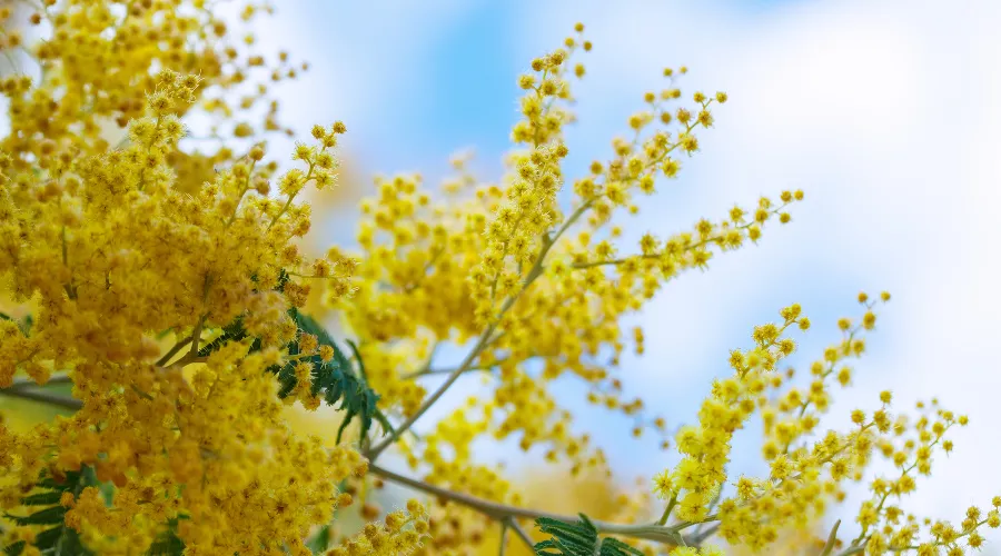  &copy;&nbsp;Фото bearfotos, сайт freepik.com