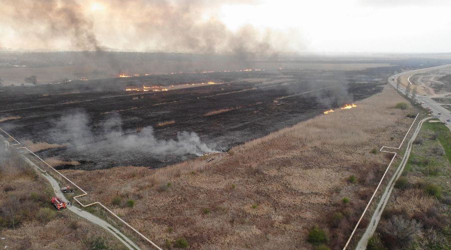  © Фото пресс-службы ГУ МЧС России по Краснодарскому краю