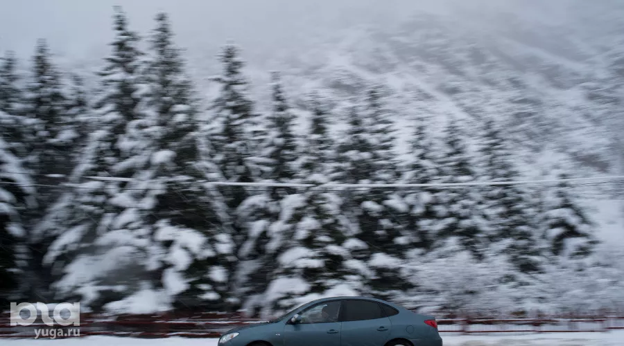  &copy;&nbsp;Фото Антона Подгайко, Юга.ру