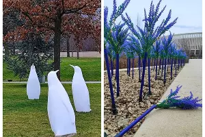  &copy;&nbsp;Скриншот из телеграм-канала &laquo;Парк Галицкого Краснодар&raquo; https://t.me/park_galitskogo/23375