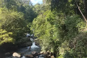 На Шри-Ланке &copy;&nbsp;Фото Иолины Грибковой, Юга.ру