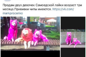	Скриншот  из группы «ВКонтакте» «Симферополь | Барахолка | Доска объявлений», vk.com/simferopol_baraholka © Фото с сайта ncrim.ru