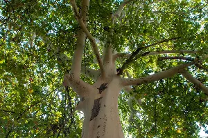  &copy;&nbsp;Фото Дмитрия Пославского, Юга.ру