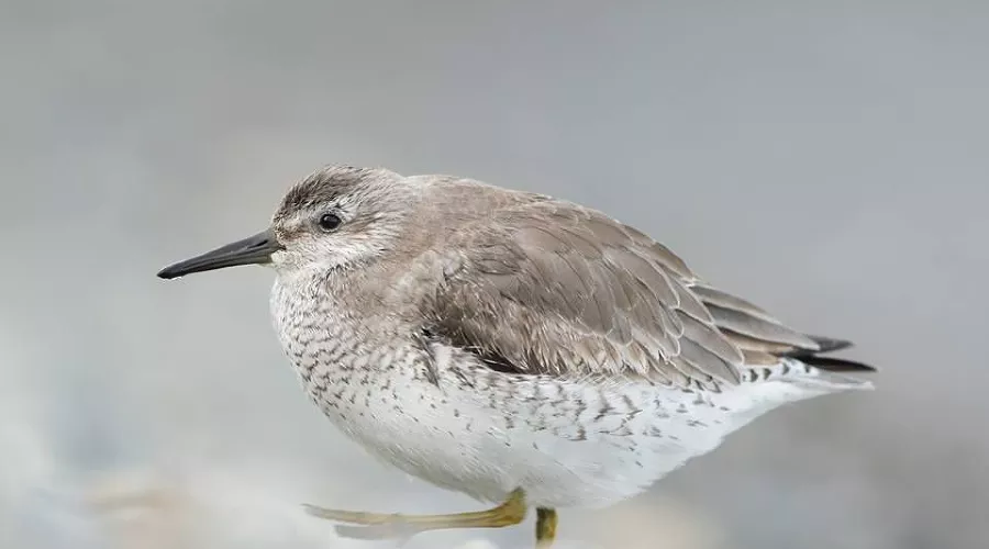  &copy;&nbsp;facebook.com/alexshkolny и instagram.com/alex_shkolny