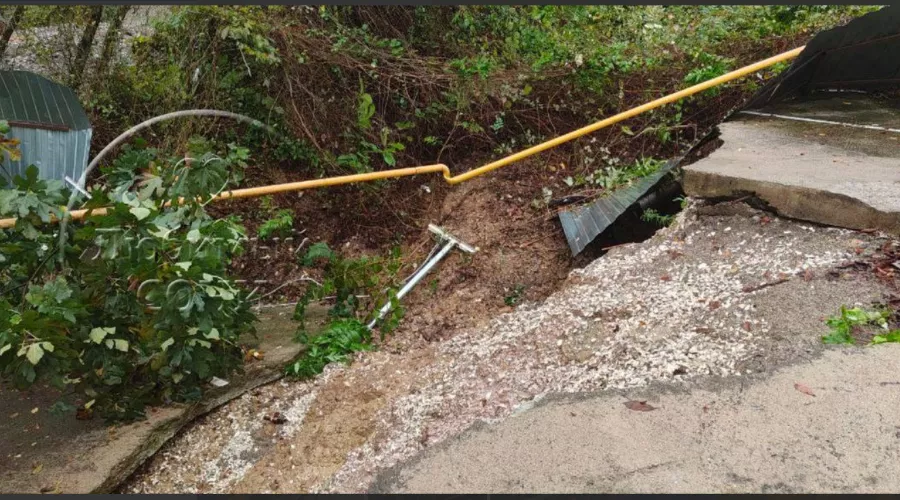  &copy;&nbsp;Скриншот из телеграм-канала &laquo;Любимый Сочи&raquo; https://t.me/love_sochi/42730