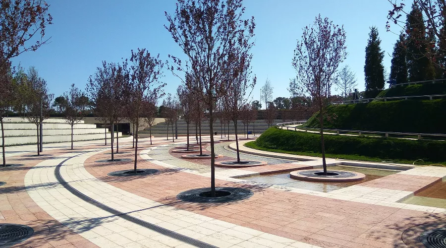  &copy;&nbsp;Фото из аккаунта Typodar в Instagram, instagram.com/typodar