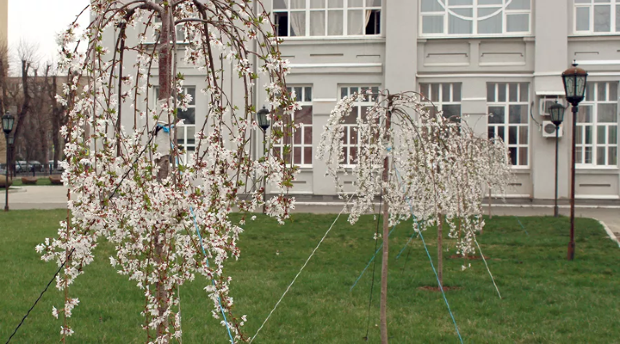  &copy;&nbsp;Фото пресс-службы МГТУ