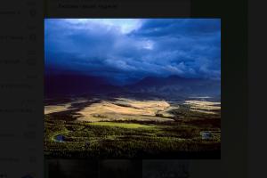  © Скриншот фото из телеграм-канала «Краснодарский выставочный зал»