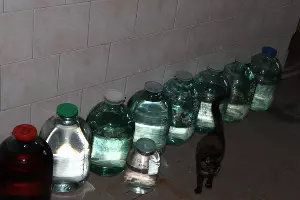  &copy;&nbsp;Фото пресс-службы СУ СК России по Крыму и Севастополю