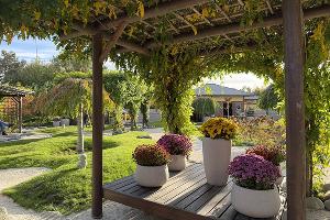 Садовые коридоры Цубонива кайр © Фото Марины Солошко, Юга.ру