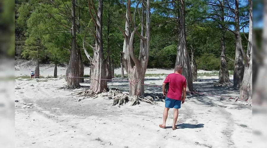  &copy;&nbsp;Фото пресс-службы министерства природных ресурсов Краснодарского Края