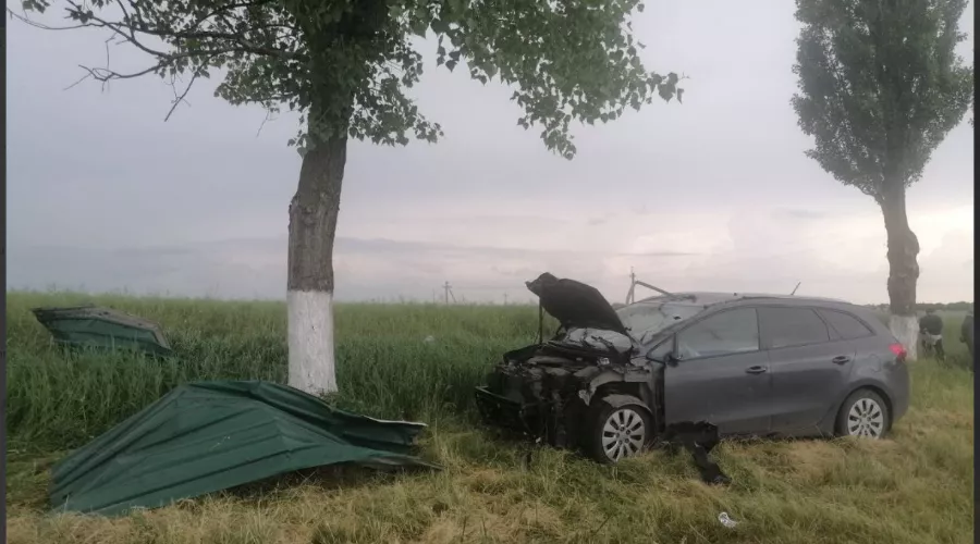  &copy;&nbsp;Скриншот из телеграмм-канала &laquo;23 МВД&raquo; https://t.me/mvd_23/2943