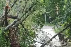  &copy;&nbsp;Фото пресс-службы прокуратуры Краснодарского края