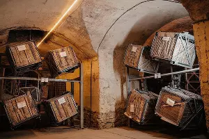  &copy;&nbsp;Фото пресс-службы &laquo;Саук-Дере&raquo;