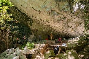  © Скриншот фото со страницы Вконтакте «Субтропический научный центр РАН»