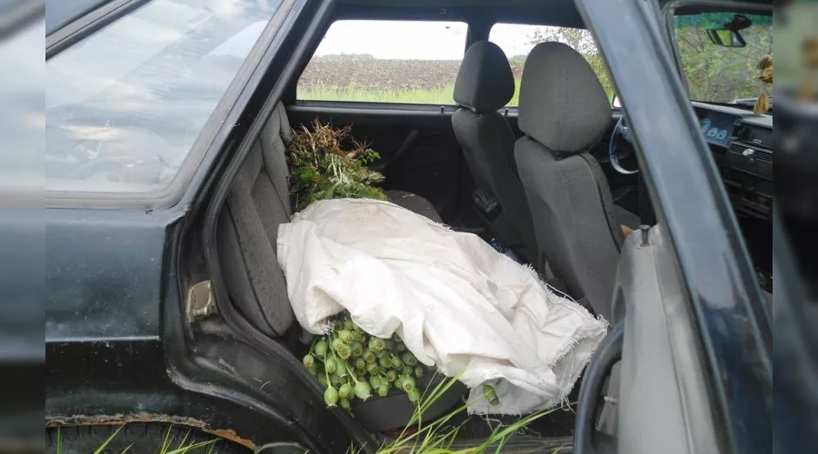  &copy;&nbsp;Фото пресс-службы ГУ МВД РФ по Ставропольскому краю