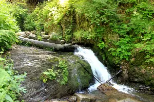  &copy;&nbsp;Фото Марины Солошко, Юга.ру