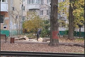  © Скриншот из телеграм-канала «Типичный Краснодар» https://t.me/krd_tipich_ru/89784