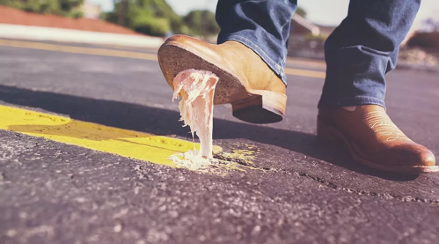  &copy;&nbsp;Фото с сайта pixabay.com