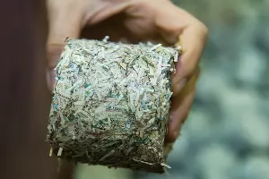 Спрессованные брикеты из купюр после утилизации &copy;&nbsp;Фото Елены Синеок, Юга.ру