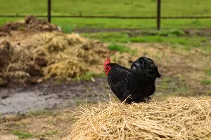  &copy;&nbsp;Фото Елены Синеок, Юга.ру