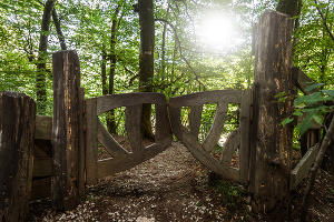  © Фото AmixStudio, freepik.com