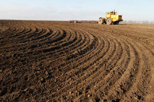  © Эдуард Корниенко, ЮГА.ру