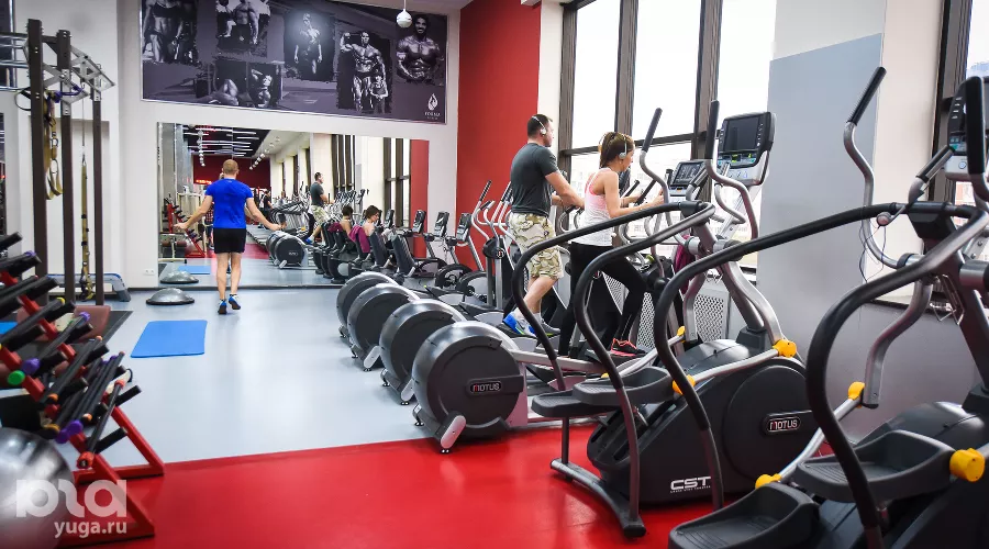  &copy;&nbsp;Елена Синеок, ЮГА.ру