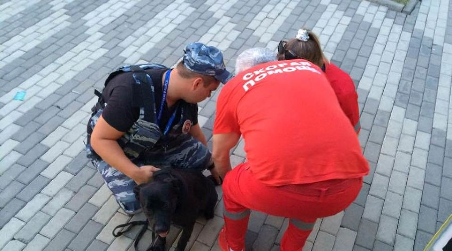  © Фото со страницы facebook.com/profile.php?id=100000518707927