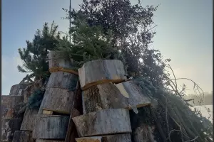  &copy;&nbsp;Скриншот из телеграм-канала мэра Ессентуков Владимира Крутникова https://t.me/Krutnikov_VV/4792