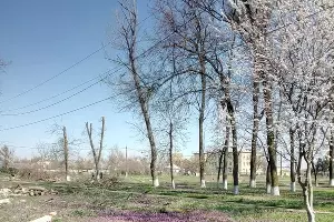  &copy;&nbsp;Фото Юга.ру
