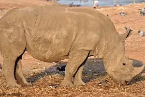  &copy;&nbsp;Фото пресс-службы администрации Ростова-на-Дону