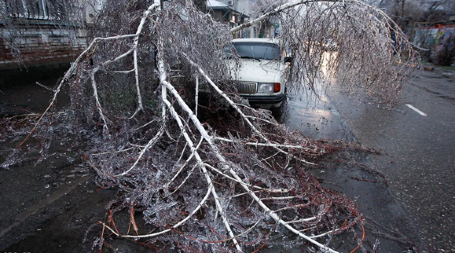 Последствия ледяного дождя в Краснодаре &copy;&nbsp;Влад Александров, ЮГА.ру