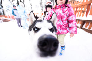 Тест-драйв SKODA Yeti в Красной Поляне &copy;&nbsp;Фото Елены Синеок, Юга.ру