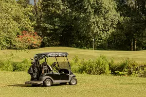  &copy;&nbsp;Фото пользователя alexeyzhilkin с сайта freepik.com