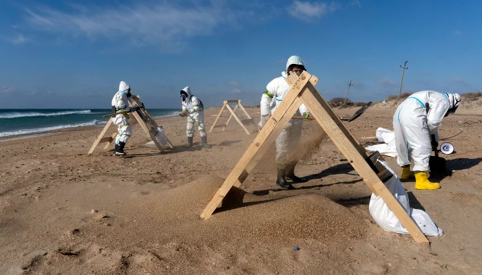 Уборка мазута волонтерами штаба «Шлагбаум» &copy;&nbsp;Фото Полины Безверхой, Юга.ру